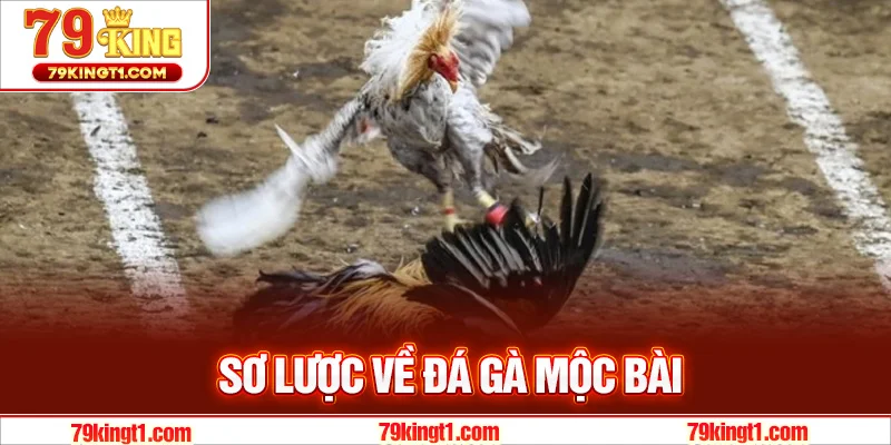 Sơ lược về đá gà mộc bài