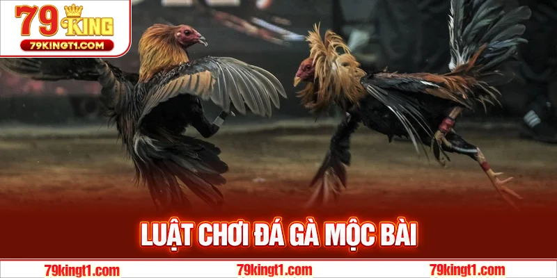 Luật chơi mà bạn nên biết khi tham gia